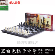 丙摩国际象棋儿童 国际象棋磁性  磁性象棋儿童折叠象棋棋盘中大号 中号黑白色给入门书