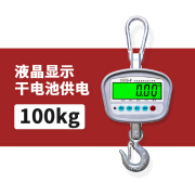 友声 OCS 小吊称吊秤电子吊钩秤吊磅 黑字液晶屏100kg