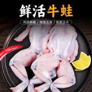 南美豹新鲜牛蛙鲜活现杀免处理 酸汤牛蛙腿半成品烧烤生鲜食材3斤