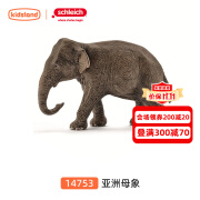 思乐（Schleich S）仿真野生动物模型玩具儿童收藏摆件生日礼物 亚洲母象