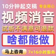 视频消音视频去人声歌曲消音伴奏制作电影动画片趣配音留背景音乐 电子版 电子版电子版 标准 标准