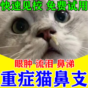 猫鼻支猫咪感冒咳嗽流鼻涕疱疹病毒药眼睛流脓咳嗽鼻塞角膜炎专用 严重猫鼻支【买3送2】5瓶装