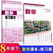 沪教版上海初中课本教材教科书 数学+练习册八年级第二学期8年级下册 上海教育出版社 教育出版社