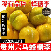 振亿沭贵州六安蜂糖李【JD速运-多地隔日达】当季蜂糖李脱骨李水果礼盒 净重 1斤 （单果24-28克）