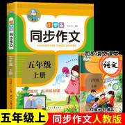 2023新版 三年级同步作文书 小学生三四五六年级上下册作文大全 好词好句好段作文素材小学作文写作技巧 【五年级上】同步作文