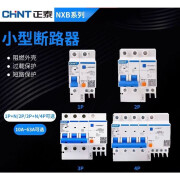 正泰漏电保护器空气开关NXBLE断路器空开总开两相三相漏电开关 白色 10A+2P