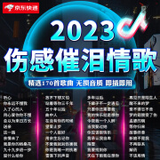 UECYXOP2023抖音流行车载U盘歌曲伤感催泪情歌无损高音质车用音乐优盘usb