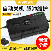 车爱人适用爱玛电动车充电器电瓶车48V12AH60V20AH72伏新国标小公插通用 适用爱玛自动关机60V20AH T型通