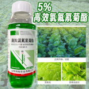 大丰收丰创惠选5%高效氯氟氰菊酯微乳剂甘蓝菜青虫蔬菜水果杀虫剂菜园果园农用 500克*1瓶