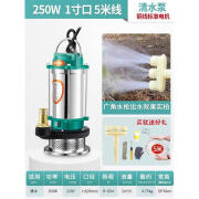 名磊（mlnGLel）定制不锈钢潜水泵220v水泵抽水小型高扬程农用灌溉大流量抽水机 清水1寸250W5米线+5米帆布管