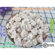 拾光味老【顺丰发货】福建莆田特产正宗西天尾燕皮扁食2斤云吞混