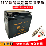 摩托车电瓶12V通用MTX5L-BS免维护巧格i天剑飞致150福喜as125 TX5-BS飞致150