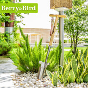 Berry&Bird户外不锈钢种球种植器球根移植郁金香风信子挖洞器BB园艺工具 挖洞器