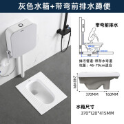 箭牌蹲便器蹲坑式家用大便器水箱整套卫生间便盆陶瓷蹲厕便池防臭 A带弯前排水+灰色水箱