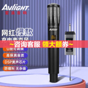 爱浪（Avlight） 无线麦克风话筒一拖二唱歌K歌手持式会议U段麦克风工程会议大型会议动圈会议室话筒 MC20(一拖一充电款)