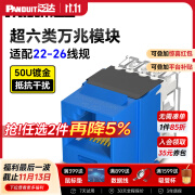 PANDUIT  泛达超六类NK模块超6类万兆通用非屏蔽RJ45网线模块86型单口双口网络面板 超六类万兆模块-蓝色