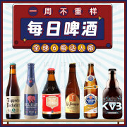 罗斯福（Rochefort）6瓶精酿啤酒比利时进口啤酒白啤//白熊//ipa世涛 6瓶：达人版