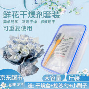 鲜花干燥剂硅胶粉学生鲜花标本手工DIY干燥剂永生花标本干燥沙 1 勺+小刷子