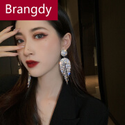 Brangdy 轻奢欧美夸张闪流苏耳环个性时尚大气长款耳坠耳饰潮女 流苏耳环