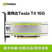 英伟达英伟达（NVIDIA）Tesla T4/A2/L4/A10/A30/A40服务器GPU推理显卡 Tesla T4 16G