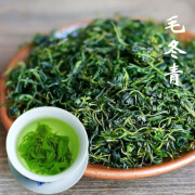 精选毛冬青茶正宗特级嫩芽云南特产散装青山绿水小叶苦丁茶 毛冬青嫩叶50g