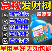 发财树植物营养液治枯叶黄叶烂根盆栽肥料发财树营养液治发黄掉叶 发财树营养液【体验装】 500ml 1瓶