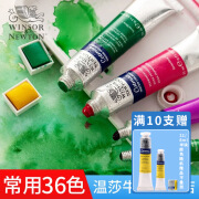 温莎牛顿（WINSOR&NEWTON） 水彩颜料套装 固体歌文水彩专业水彩颜料管状单支学生初学者管装 常用36色（8ml）