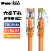 PANDUIT 泛达六类粗网线CAT6类千兆成品跳线办公家用POE监控宽带网络带水晶头 橘色CM阻燃 0.5米