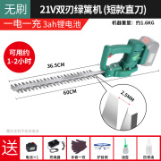 瑞立电动绿篱机充电式锂电单手修枝剪园林绿化神器球型茶叶茶树修剪机 无刷直刀21V3ah(一电一充) 工作