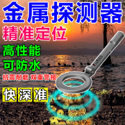 臣源（CHENYUAN）101精准手持式金属探测器可探测地下10米高精度寻金银铜探测仪 国产芯片 可探1米送电池