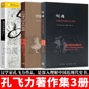 孔飞力著作集 全套3册 叫魂：1768年中国妖术大恐慌+中国现代国家的起源+他者中的华人：中国近现代移民史