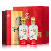 五粮液仙林生态酿酒 收藏送礼 52%vol 500mL 2瓶 华彩人生 红色