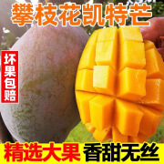 苹安乐农四川攀枝花凯特芒果新鲜10斤应季水果芒果整箱包邮特大芒果当季 9斤家庭装 单果【700g+】