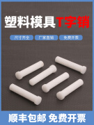 惠利得塑料T字销尼龙销4/5T型销模具T销6/10铁氟龙塑钢顶料销钉3*60 T字销2*10(100个)