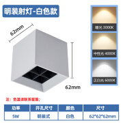 简杰照明格栅灯方形led射灯家用客厅服装店铺商用无主灯明装斗胆照明筒灯 明装射灯白色款:5W