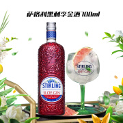 萨格利 荷兰黑刺李金力娇酒 GIN酒  进口洋酒调酒基酒 高端金酒 700ml 