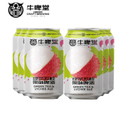 牛啤堂（NBeer） 帝都海盐酸啤德式小麦果味精酿啤酒IPA330ml酒厂直发 绿茶荔枝果味 330mL 6罐