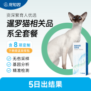 东方系猫舍定制｜宠知因暹罗猫相关品系全套餐(血型+颜色+疾病筛查) 暹罗东短东长宠物猫咪基因检测