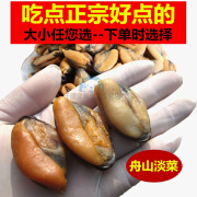 芬氏特大淡菜海鲜水产淡菜干 干货海虹贻贝青口贝舟山食用特产 特大淡菜1斤(单个长约4厘米)