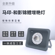 马印神灯大型户外室外鱼缸锦鲤鱼池庭院射灯专用LED增艳灯防雨淋 50W