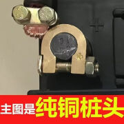 汽车电瓶桩头纯铜电池接头电瓶连接器盒装加厚皇冠品质 纯铜黄色【一盒装】