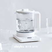 立时 OLAYKS养生壶小型办公室多功能家用纯钛烧水壶泡茶花茶煮茶壶 316底盘