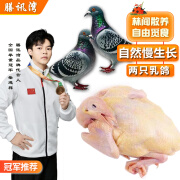 膳讯湾皖中乳鸽300g*2只农家散养土整只鸽子肉无农残煲汤滋补源头直发