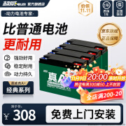 超威一号电动车电瓶车蓄电池石墨烯48V20Ah铅酸适用雅迪台铃爱玛小牛 真A+ 以旧换新 【经典款】 48v20.2Ah/4只装