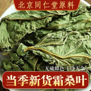 内廷上用桑叶500g克霜后桑叶霜打桑叶茶干桑叶桑树泡茶泡水 霜桑叶500克