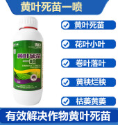 方瑞 黄叶一喷 叶面肥绿喷雾通用绿叶大蒜蔬菜果树一夜微量元素 1瓶 1000ml