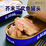 其他家进口芥末三文鱼罐头海鲜即食下饭菜KAIJA牌拉脱维亚原装特产食品 芥末三文鱼罐头1罐(170g)