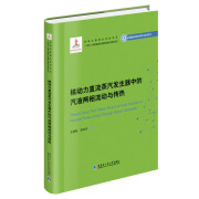 核动力直流蒸汽发生器中的汽液两相流动与传热史建新, 孙宝芝著哈尔滨工业大学9787576704945