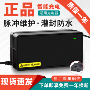 TNBROTHERS适用爱玛电动车电瓶充电器36V48V64V60V72V20AH爱玛电动车充电器 防水爱玛 48V12AH T型通用