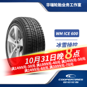 固铂（Cooper）固铂（Cooper）冬季雪地轮胎 ICE600 2024年产 235/55R19 101T